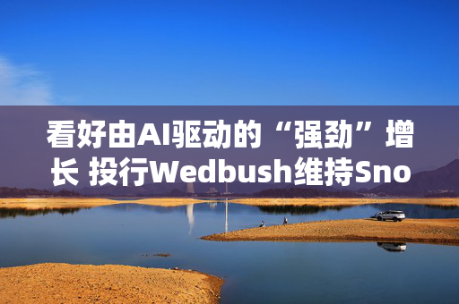 看好由AI驱动的“强劲”增长 投行Wedbush维持Snowflake“跑赢大盘”评级