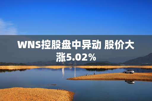 WNS控股盘中异动 股价大涨5.02%