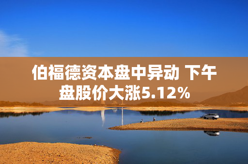 伯福德资本盘中异动 下午盘股价大涨5.12%