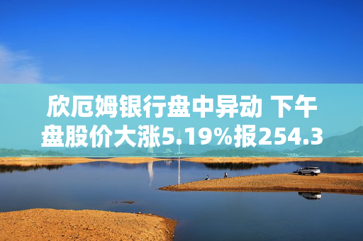 欣厄姆银行盘中异动 下午盘股价大涨5.19%报254.35美元