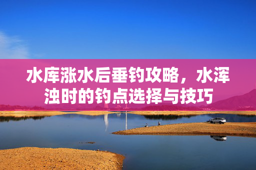 水库涨水后垂钓攻略，水浑浊时的钓点选择与技巧