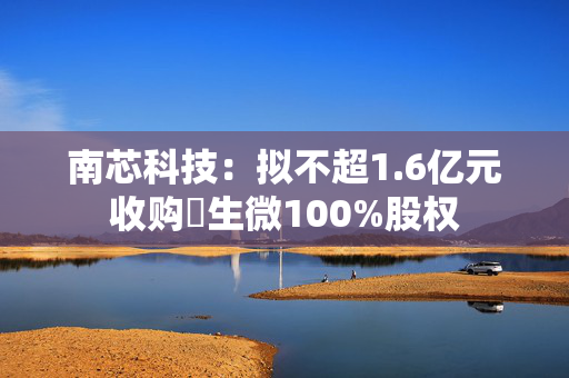 南芯科技：拟不超1.6亿元收购昇生微100%股权