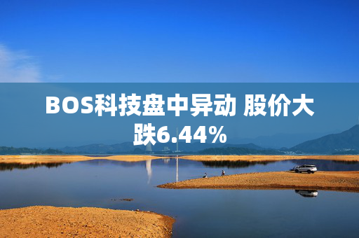 BOS科技盘中异动 股价大跌6.44%