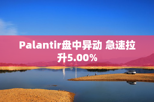 Palantir盘中异动 急速拉升5.00%