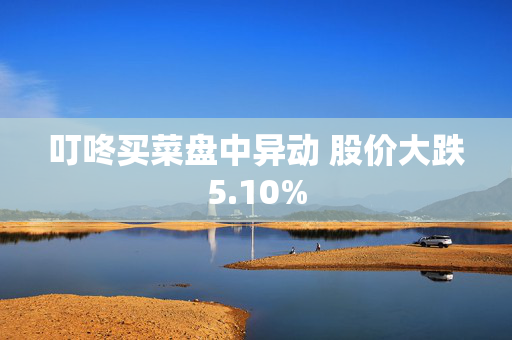 叮咚买菜盘中异动 股价大跌5.10%