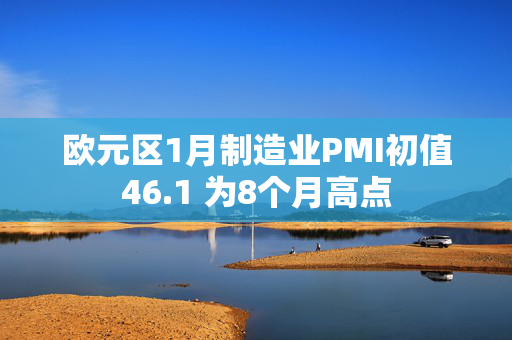 欧元区1月制造业PMI初值46.1 为8个月高点