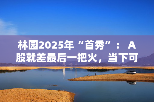 林园2025年“首秀”： A股就差最后一把火，当下可以满仓睡觉，好好过年