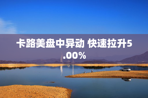 卡路美盘中异动 快速拉升5.00%