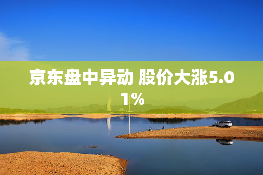 京东盘中异动 股价大涨5.01%