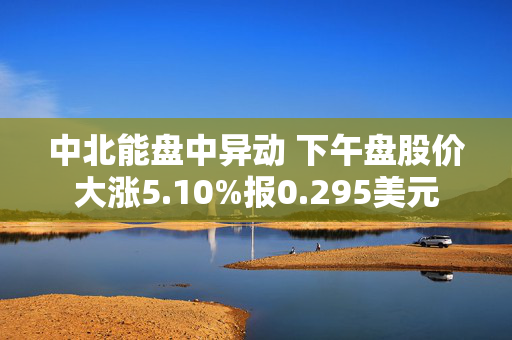 中北能盘中异动 下午盘股价大涨5.10%报0.295美元