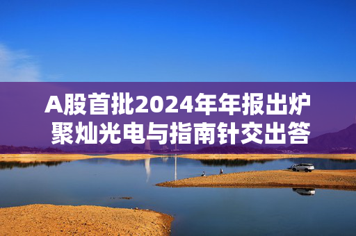 A股首批2024年年报出炉 聚灿光电与指南针交出答卷