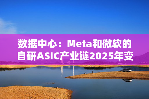 数据中心：Meta和微软的自研ASIC产业链2025年变化相对较小