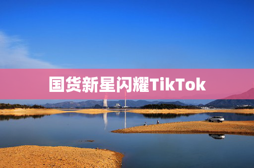 国货新星闪耀TikTok