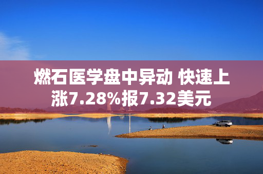 燃石医学盘中异动 快速上涨7.28%报7.32美元