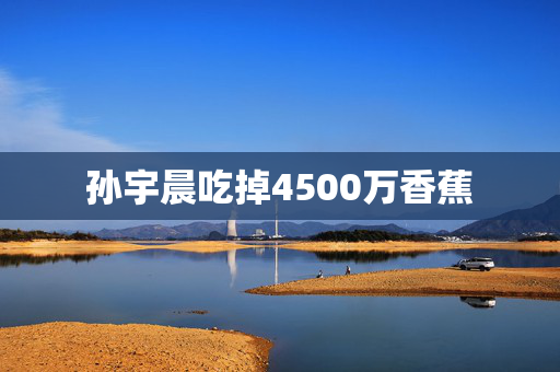 孙宇晨吃掉4500万香蕉