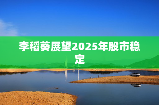 李稻葵展望2025年股市稳定