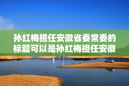 孙红梅担任安徽省委常委的标题可以是孙红梅担任安徽省委常委职务公布或安徽省委常委孙红梅。