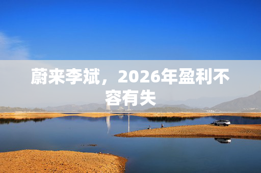 蔚来李斌，2026年盈利不容有失