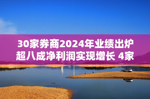 30家券商2024年业绩出炉超八成净利润实现增长 4家超百亿