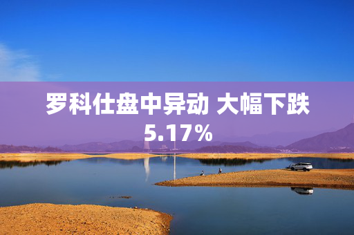 罗科仕盘中异动 大幅下跌5.17%