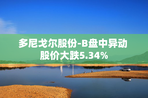 多尼戈尔股份-B盘中异动 股价大跌5.34%