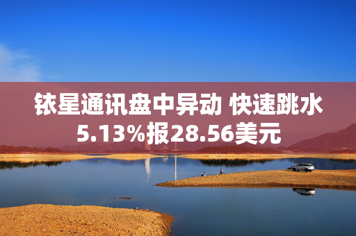 铱星通讯盘中异动 快速跳水5.13%报28.56美元