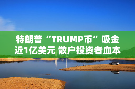 特朗普“TRUMP币”吸金近1亿美元 散户投资者血本无归