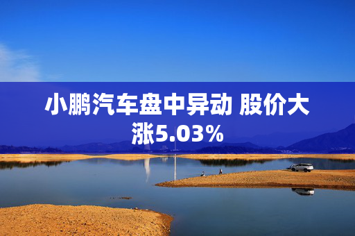 小鹏汽车盘中异动 股价大涨5.03%