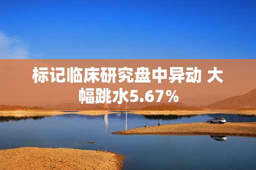 标记临床研究盘中异动 大幅跳水5.67%