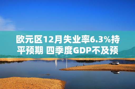 欧元区12月失业率6.3%持平预期 四季度GDP不及预期