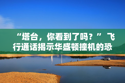 “塔台，你看到了吗？” 飞行通话揭示华盛顿撞机的恐怖瞬间