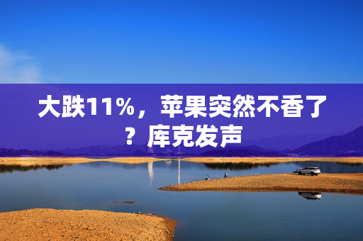 大跌11%，苹果突然不香了？库克发声