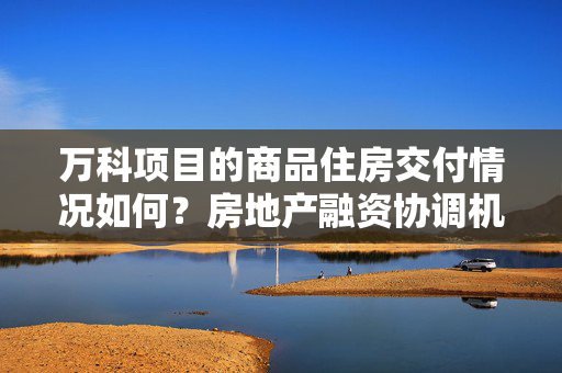 万科项目的商品住房交付情况如何？房地产融资协调机制工作专班有关负责人回应