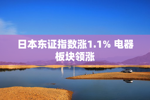 日本东证指数涨1.1% 电器板块领涨