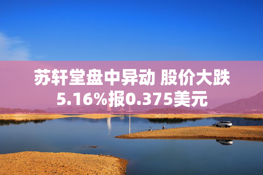 苏轩堂盘中异动 股价大跌5.16%报0.375美元