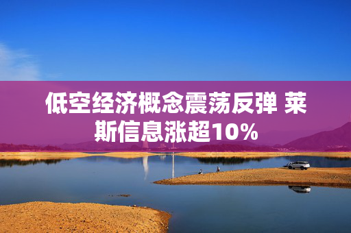 低空经济概念震荡反弹 莱斯信息涨超10%