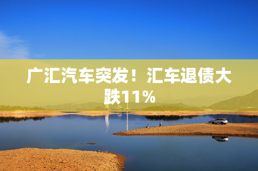 广汇汽车突发！汇车退债大跌11%