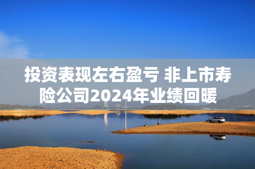 投资表现左右盈亏 非上市寿险公司2024年业绩回暖