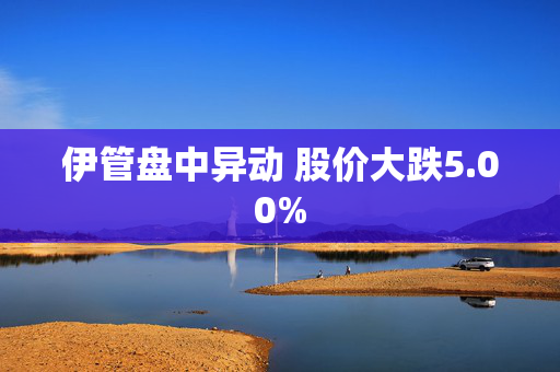 伊管盘中异动 股价大跌5.00%