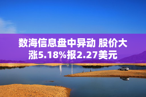 数海信息盘中异动 股价大涨5.18%报2.27美元