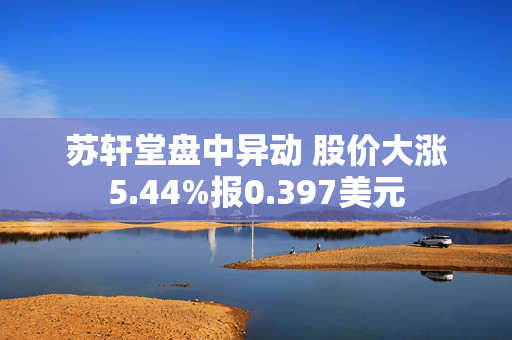 苏轩堂盘中异动 股价大涨5.44%报0.397美元