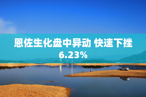 恩佐生化盘中异动 快速下挫6.23%