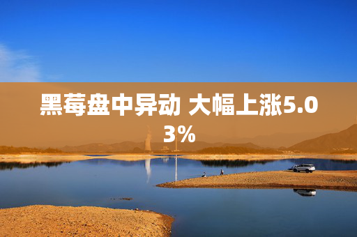 黑莓盘中异动 大幅上涨5.03%