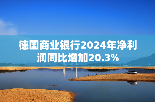 德国商业银行2024年净利润同比增加20.3%