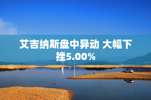 艾吉纳斯盘中异动 大幅下挫5.00%