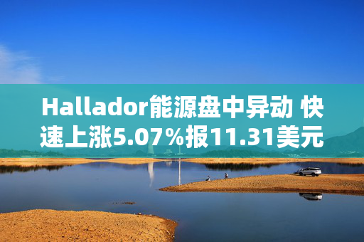 Hallador能源盘中异动 快速上涨5.07%报11.31美元