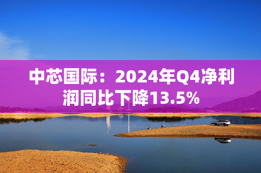 中芯国际：2024年Q4净利润同比下降13.5%