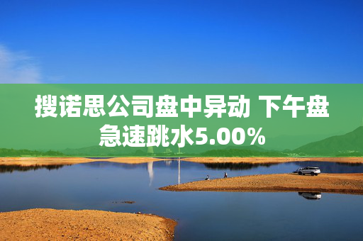 搜诺思公司盘中异动 下午盘急速跳水5.00%