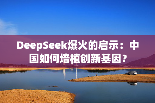 DeepSeek爆火的启示：中国如何培植创新基因？