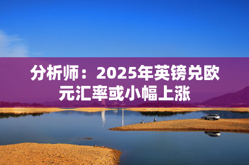 分析师：2025年英镑兑欧元汇率或小幅上涨